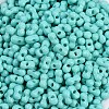 Baking Paint Glass Seed Beads X1-SEED-K010-A19-2