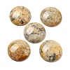 Natural Crazy Agate Cabochons G-C115-02B-23-1