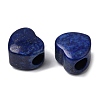 Dyed Natural Lapis Lazuli European Beads G-C269-01L-2