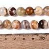 Natural Wood Lace Stone Wooden Jasper Beads Strands G-B128-A04-04-5