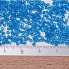 MIYUKI Delica Beads SEED-MY11-DB0787-4