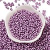 Glass Seed Beads SEED-L011-04A-03-2