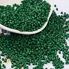 Baking Paint Glass Seed Beads SEED-S042-05B-66-1