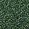 TOHO Round Seed Beads SEED-JPTR11-1006-2