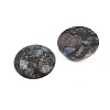 Natural Glaucophane Cabochons G-H1596-FR-25mm-19-2