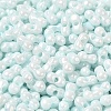 Opaque Colours Luster Glass Seed Beads SEED-B001-01A-02-3