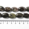 Natural Wealth Stone Jasper Beads Strands G-L164-A-25-5