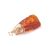 Natural Amber Pendants PALLOY-JF01827-02-5