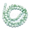 Natural Glass Beads Strands G-K245-A13-02-2