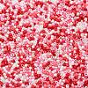 Baking Paint Glass Seed Beads SEED-S042-05B-46-3