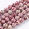 Natural Fossil Coral Beads Strands G-F563-01-10mm-1