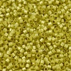 MIYUKI Delica Beads SEED-J020-DB2187-3