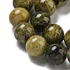 Natural Green Tourmaline Beads Strands G-B099-C05-05-4