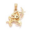 Ion Plating(IP) 304 Stainless Steel Pendants LS-STAS-D165-14G-02-2