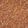 8/0 Round Glass Seed Beads SEED-US0003-3mm-169-2