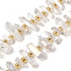 Electroplated Natural Quartz Crystal Beads Strands X-G-F800-F11-A-1