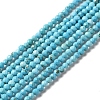 Natural Howlite Beads Strands G-C025-03B-02-1