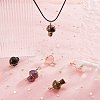 6Pcs 6 Style Natural Mixed Gemstone Pendants G-SZ0001-88-4