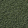 MIYUKI Delica Beads SEED-X0054-DB1135-3