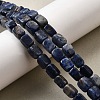 Natural Sodalite Beads Strands G-F791-C04-1