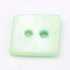 Natural Freshwater Shell Buttons BSHE-B003-05-3
