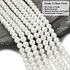 Eco-Friendly Dyed Glass Pearl Round Beads Strands HY-A008-8mm-RB001-3