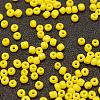 6/0 Glass Seed Beads X-SEED-J014-F6-42-3