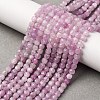 Natural Kunzite Beads Strands G-P587-C01-01-1