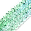 Transparent Painted Glass Beads Strands X1-DGLA-A034-T6mm-A16-2