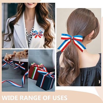20M Polyester Striped Elastic Cords SRIB-WR0001-13-1