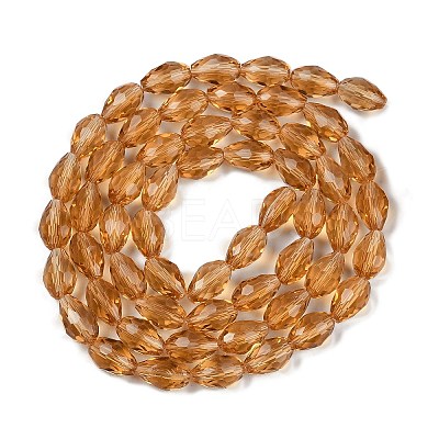 Transparent Glass Beads Strands EGLA-N013-T10mm-D21-1