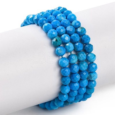 Natural Howlite Beads Strands G-C025-02B-10-1