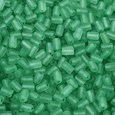 FGB Frosted Transparent Glass Seed Beads SEED-N013-05A-09-1