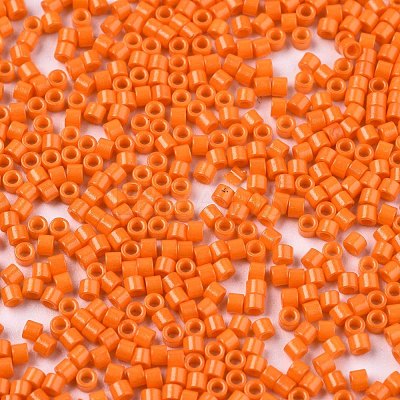 FGB 11/0 Grade A Glass Seed Beads SEED-S030-1019-1