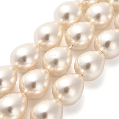 Electroplate Shell Pearl Beads Strands BSHE-G010-16x20mm-01-1