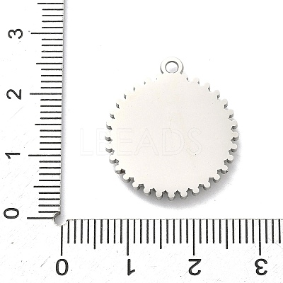 304 Stainless Steel & Rhinestone Pendants STAS-G371-09G-02P-1