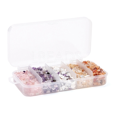 150G 5 Style Natural Mixed Gemstone Chip Beads G-FS0001-09-1