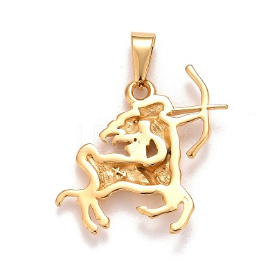 Ion Plating(IP) 304 Stainless Steel Pendants LS-STAS-D165-14G-02-1
