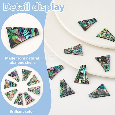 8Pcs Natural Abalone Shell/Paua Shell Cabochons SHEL-BC0001-037C-1
