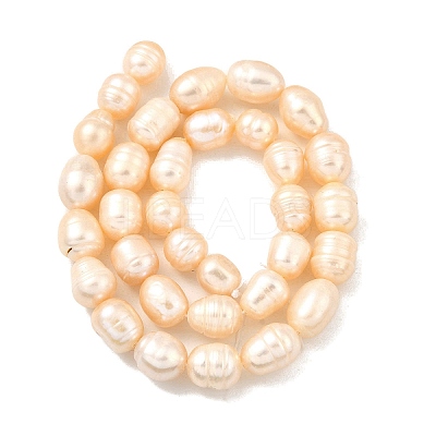 Natural Cultured Freshwater Pearl Beads Strands PEAR-I007-01E-01B-1