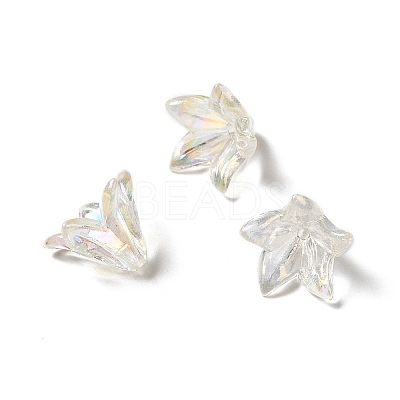 Transparent Acrylic Bead Caps OACR-H016-05-1