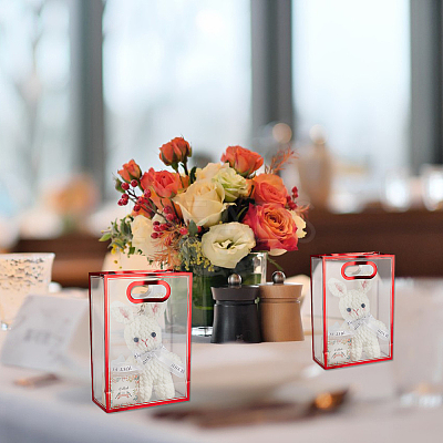 Rectangle Plastic Transparent Gift Bags ABAG-WH0048-21B-1