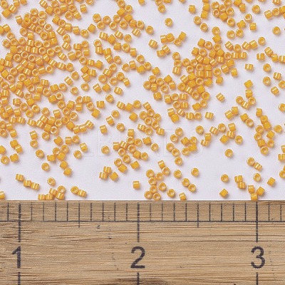 MIYUKI Delica Beads X-SEED-J020-DB0651-1