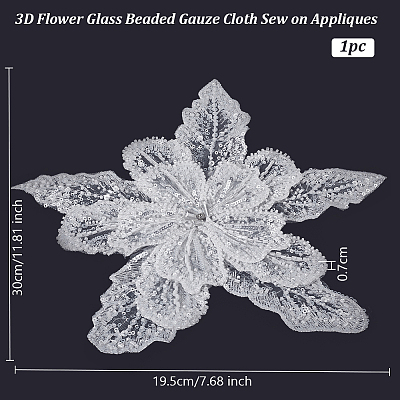 3D Flower Glass Beaded Gauze Cloth Sew on Appliques PATC-WH0008-93A-1
