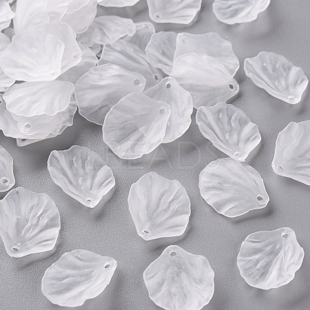 Transparent Frosted Acrylic Pendants MACR-S371-01A-701-1