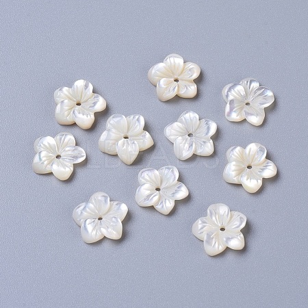 Natural White Shell Mother of Pearl Shell Beads BSHE-L043-13-1