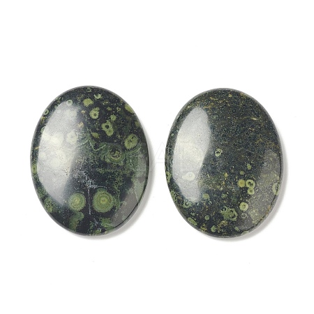Natural Kambaba Jasper Worry Stone for Anxiety Therapy G-B036-01M-1