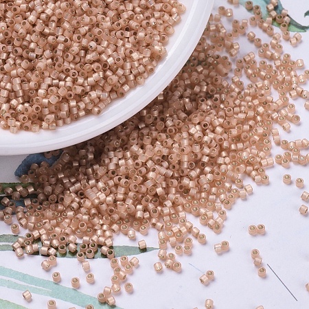 MIYUKI Delica Beads SEED-X0054-DB0622-1