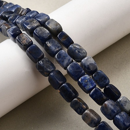 Natural Sodalite Beads Strands G-F791-C04-1