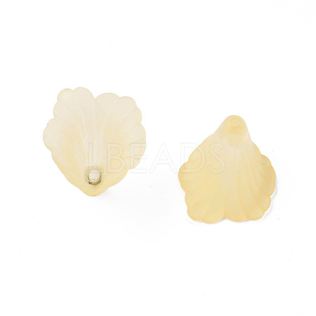 Transparent Acrylic Beads PL551-C30-1